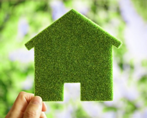 Green eco house environmental background for future residential building plot